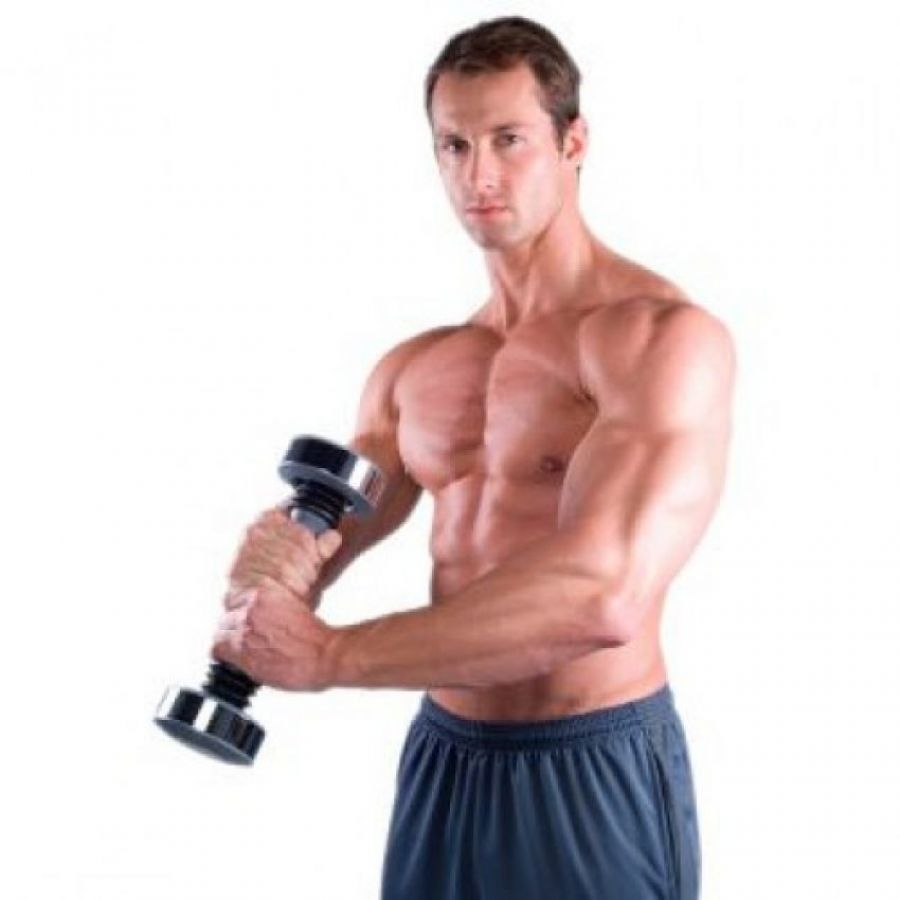 Shake Weight For Men